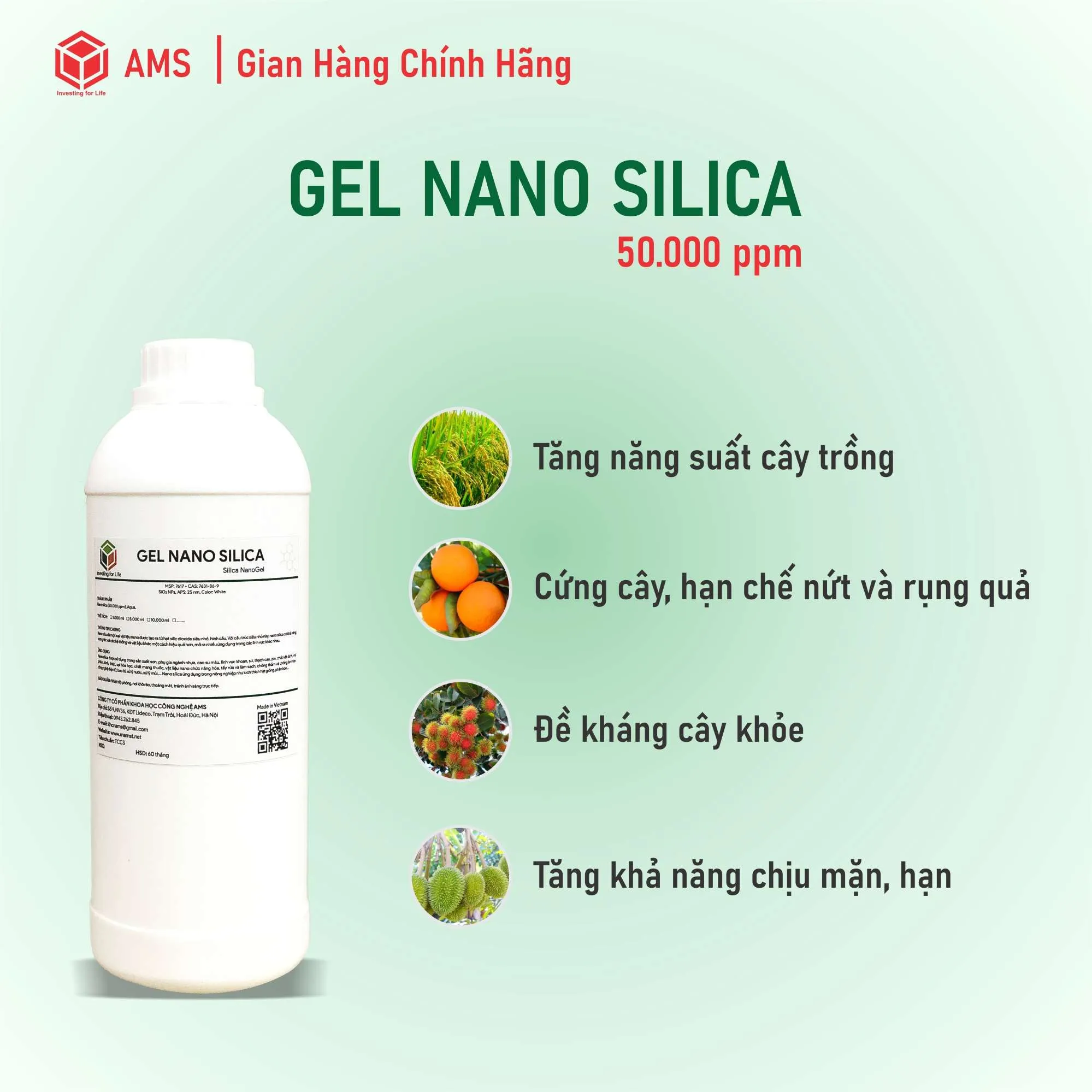 gel_silica4.jpg-large