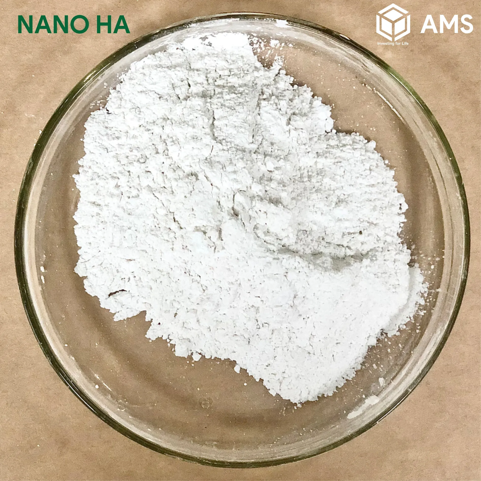 Nano Hydroxyapatite