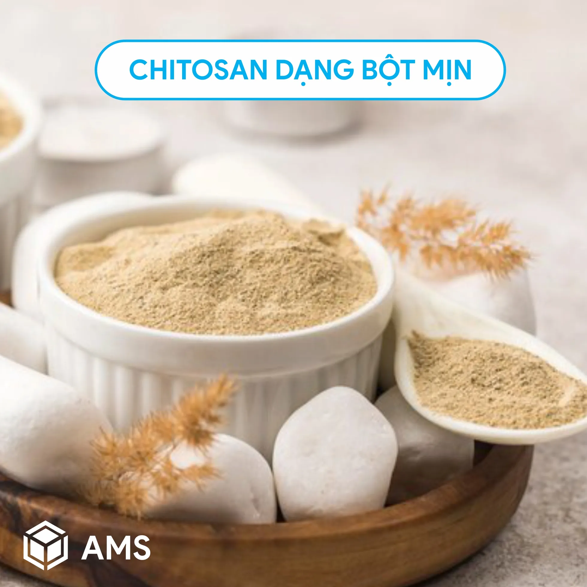 chitosan3-large